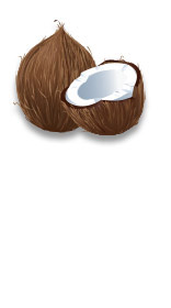 coconut