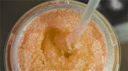 sweet tea freeze